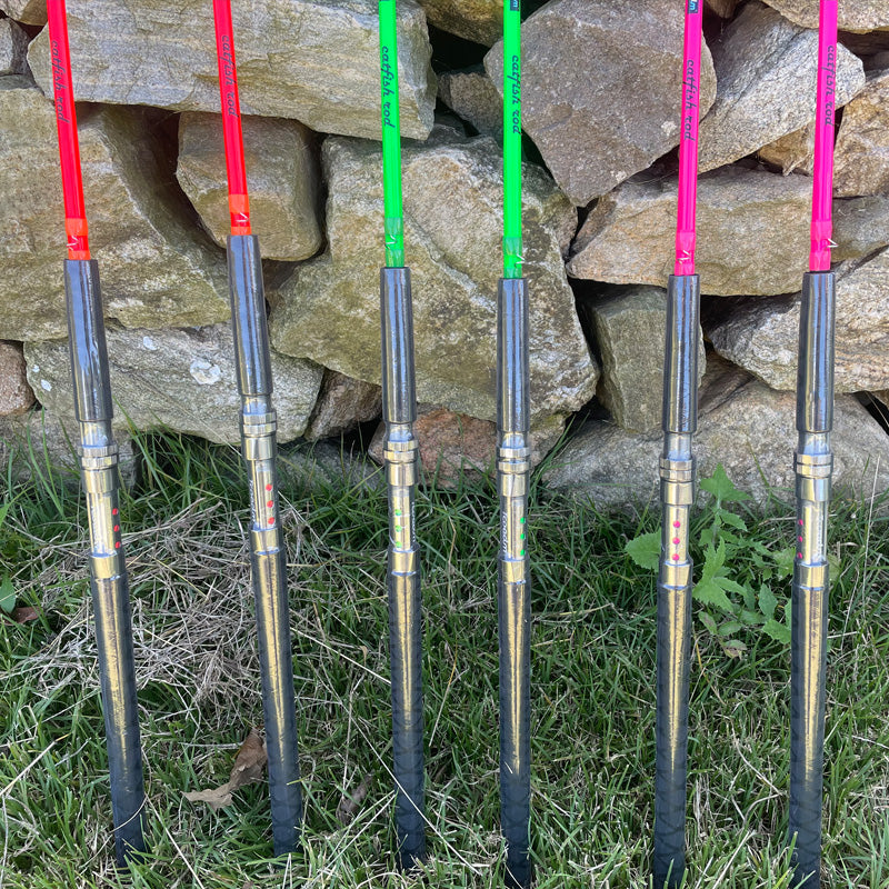 Catfish: Habitat, Characteristics, and Fishing Techniques