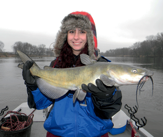 Abu Garcia vs. Eagle Claw: Catfish Rod Showdown