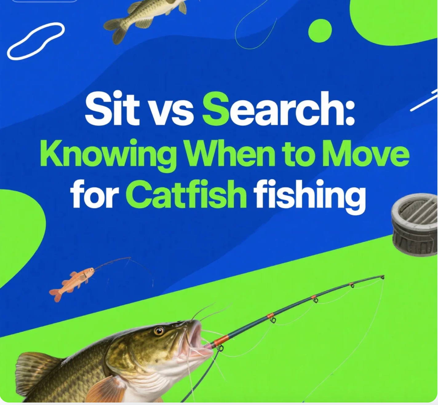 Sit vs Search: Knowing When to Move for Catfish fishhing