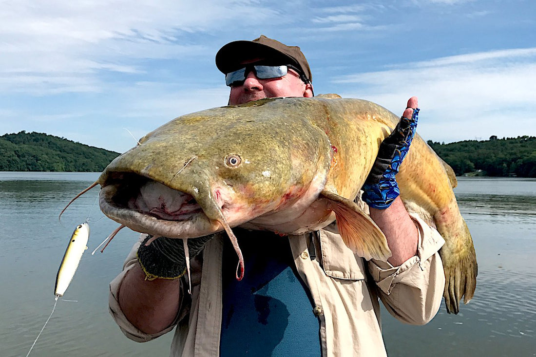 Freshwater vs. Saltwater Catfish Rods: How to Choose Gear for Every Environment
