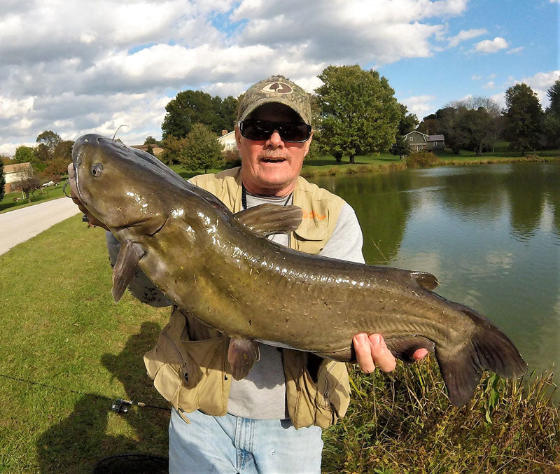 Eco-Friendly Catfishing: 5 Strategies to Minimize Ecological Impact