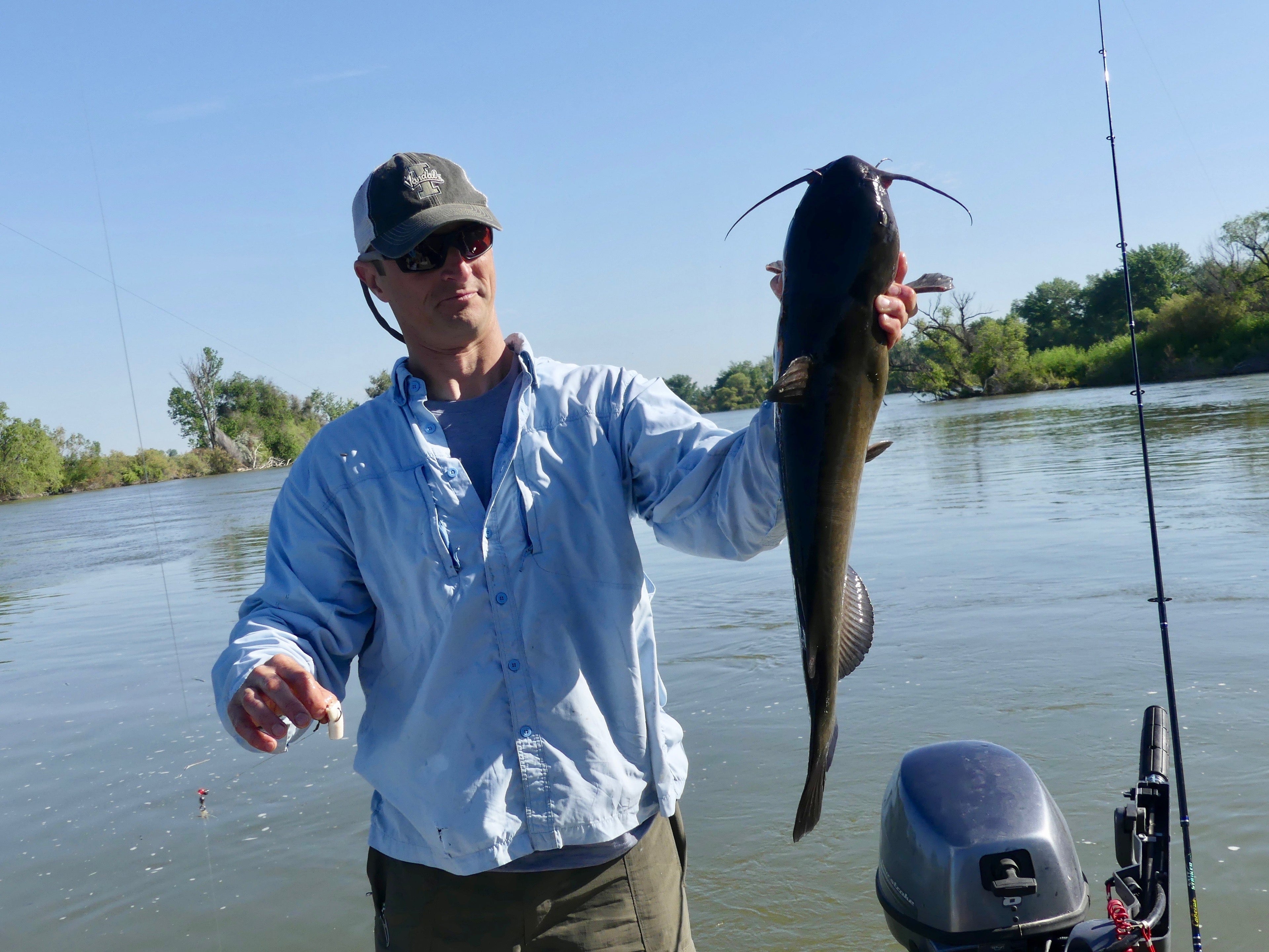 Catfish Ultimate Bait Guide: Mastering Homemade & Commercial Recipes