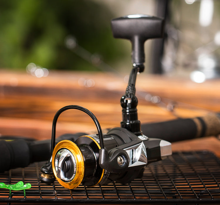 TCOEDM® 9+1 Ball Bearings Spinning Fishing Reel 1000Size